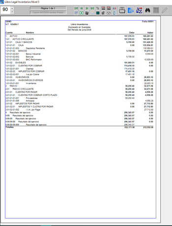 pantallazo libro de inventarios de cuentas contables